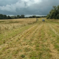 Akeley leg on 13/07/2014